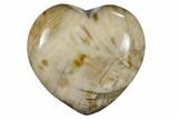 Polished, Triassic Petrified Wood Heart - Madagascar #115521-1